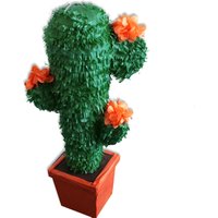 Pinata-Kaktus mit Blüten
