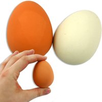 1 Gummi-Ei zum Eierlaufen