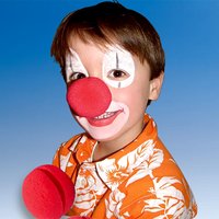 Rote Clown-Nasen