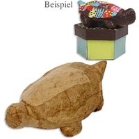 1 Süße Schildkröte