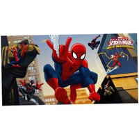 Spiderman Web-Warriors Poster 1