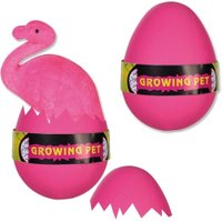 Schlüpf-Flamingo im Ei