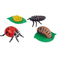 Insect Lore Lebenszyklus-Figuren: Marienkäfer
