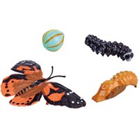 Insect Lore Lebenszyklus-Figuren: Schmetterling