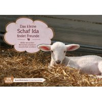 Don Bosco Bildkarten: Das kleine Schaf Ida findet Freunde