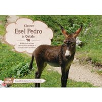 Don Bosco Bildkarten: Kleiner Esel Pedro in Gefahr