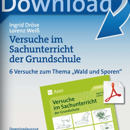 6 Versuche zum Thema -Wald und Sporen-