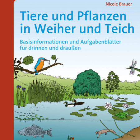 Tiere und Pflanzen in Weiher und Teich