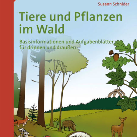 Tiere und Pflanzen im Wald