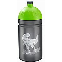 Step by Step Trinkflasche Wild T-Rex Taro