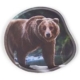 ergobag Kontur-Klettie Grizzly Bär kaufen | Ergobag Schulranzen & Zub