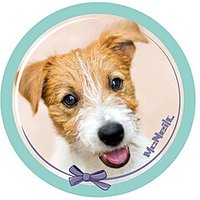 McNeill McAddys Haustiere Hund grün kaufen | McNeill Schulranzen & Zu
