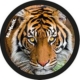McNeill McAddys gefährliche Tiere Tiger kaufen | McNeill Schulranzen