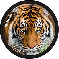 McNeill McAddys gefährliche Tiere Tiger kaufen | McNeill Schulranzen