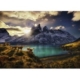 Edition Alexander Von Humboldt - Guanacos 1000 Teile Puzzle Heye
