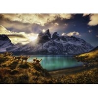 Edition Alexander Von Humboldt - Guanacos 1000 Teile Puzzle  Heye
