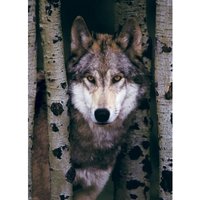Grauer Wolf 1000 Teile Puzzle  Eurographics