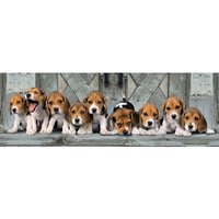 Beagles 1000 Teile Puzzle  Clementoni