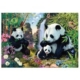 Secret Puzzle - Pandas 1000 Teile Puzzle  Dino