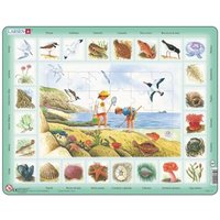 Rahmenpuzzle - Am Meer (auf Italienisch) 48 Teile Puzzle  Larsen