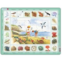 Rahmenpuzzle - Am Meer (auf Niederländisch) 48 Teile Puzzle  Larsen