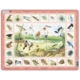 Rahmenpuzzle - Seetiere (auf Italienisch) 48 Teile Puzzle Larsen