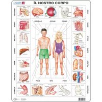 Rahmenpuzzle - Il Nostro Corpo (auf Italienisch) 35 Teile Puzzle  Larsen