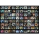 Collage - Eulen 1000 Teile Puzzle Roovi