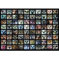 Collage - Eulen 1000 Teile Puzzle Roovi