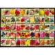 Vintage Collage - Blumen 1000 Teile Puzzle  DToys