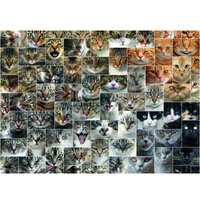 Collage - Katzen 1000 Teile Puzzle  DToys