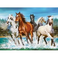Anruf der Natur 2000 Teile Puzzle  Castorland