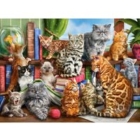 Haus der Katzen 2000 Teile Puzzle  Castorland