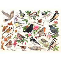 Vögel In Meinem Garten 1000 Teile Puzzle  HOP - House of Puzzles