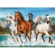 Call of Nature 200 Teile Puzzle  Castorland