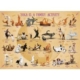 XXL Teile - Yoga is A Family Activity 500 Teile Puzzle Eurographics