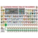 XXL Teile - Illustriertes Periodensystem der Elemente 500 Teile Puzzle  Eurographics
