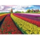 Tulpenfelder 1000 Teile Puzzle Eurographics