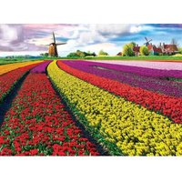 Tulpenfelder 1000 Teile Puzzle  Eurographics
