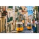 Lisbon Trams