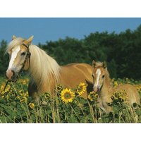 Pferdeglück 200 Teile Puzzle  Ravensburger