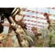 150 Teile Puzzle Nathan