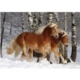 Haflinger 3 / schwieriges Puzzle 239 Teile Puzzle DToys