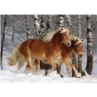 Haflinger 3 / schwieriges Puzzle 239 Teile Puzzle  DToys