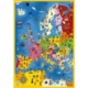 Landkarte Europa 240 Teile Puzzle DToys