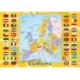 Europakarte mit Flaggen 240 Teile Puzzle DToys