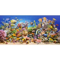 Unterwasserleben  4000 Teile Puzzle  Castorland