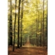 Im Wald 1000 Teile Puzzle  Eurographics