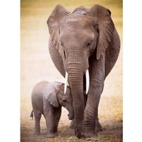 Elefantenmutter mit Jungtier 1000 Teile Puzzle  Eurographics