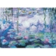 Monet Claude: Seerosen 1000 Teile Puzzle  Eurographics